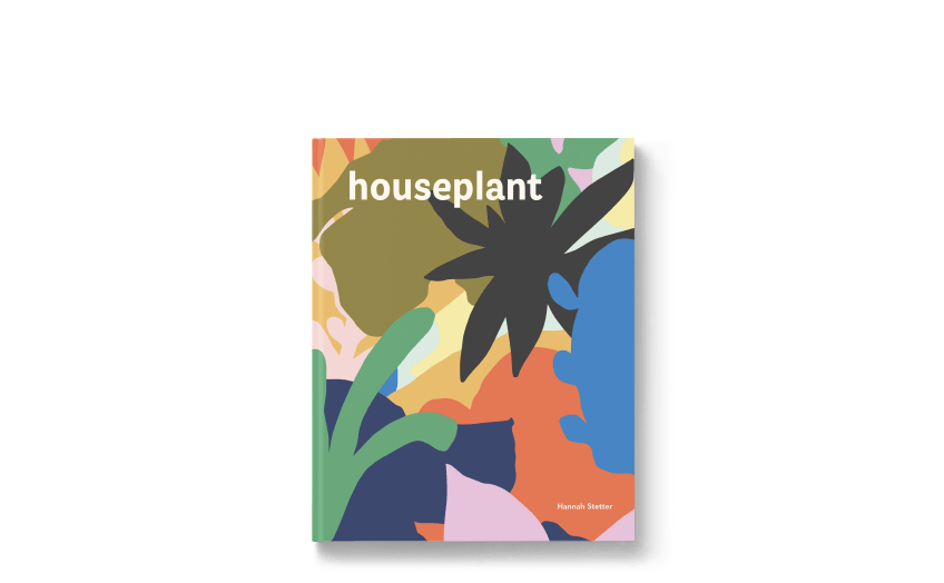 houseplant: a novice guide to indoor plants